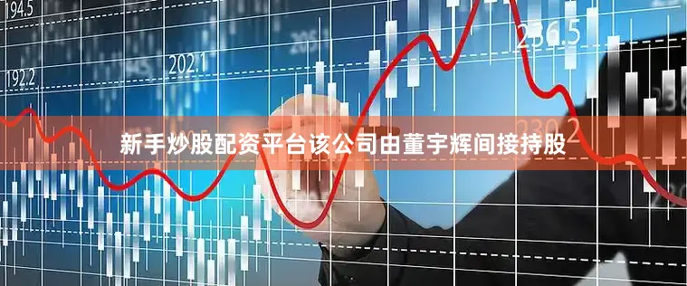 新手炒股配资平台该公司由董宇辉间接持股