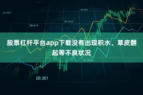 股票杠杆平台app下载没有出现积水、草皮翻起等不良状况